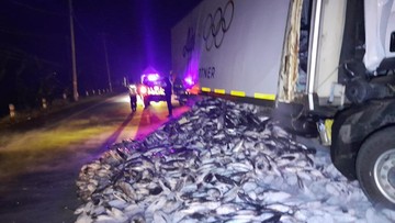 Truk Seruduk Truk di Grobogan, Muatan Ikan Tuna Berserakan di Jalan