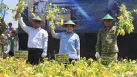 Mentan Singgung Ada Pihak yang Marah Saat Indonesia Swasembada Pangan