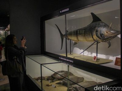 Berjumpa Paus Raksasa-Serangga Langka di Museum Zoologi Kebun Raya Bogor