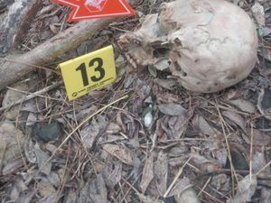 Geger Penemuan Tengkorak Manusia di Hutan Malaka, Ternyata Korban Pembunuhan