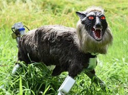 Serangan Beruang Meningkat, Robot Serigala Laris di Jepang