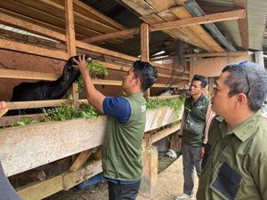 Jelang Idul Adha, Hewan Kurban di Lubuklinggau Akan Dicek Kesehatannya