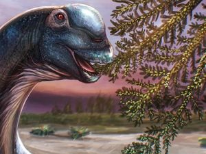 Dinosaurus Raksasa Teridentifikasi dari Fosil di Thailand, Dinamai Nagatitan