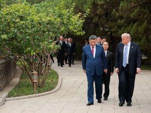 Trump Kaget Diajak Xi Jinping Lihat Pohon Berusia Ratusan Tahun