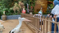 Wisatawan Serbu Jatim Park 2 Kota Batu Sejak Awal Libur Panjang