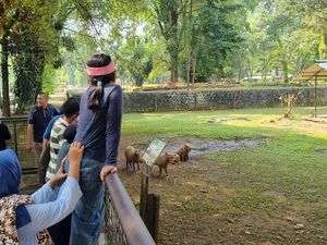 Masbro Kapibara di Ragunan Masih Jadi Primadona