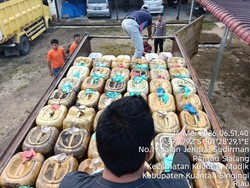 Polda Riau Tangkap Mafia BBM, Satu Truk Solar Disita di Kuansing