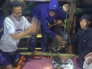 Pendaki Asal Sukabumi Tewas Saat Mendaki Gunung Rinjani