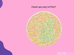 Tak Semua Orang Bisa Temukan Panda di Gambar Ini, Ada yang Lihat Ikan Sapu-sapu?