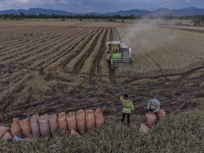 Banjir Rendam Sawah, Puluhan Hektare Gagal Panen