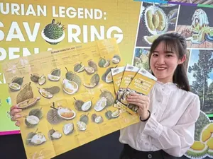 Di Penang Kini Ada Wisata Durian, Bisa Makan Musang King Sepuasnya!