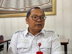 Dinkes Kaltim Minta Warga Waspadai Tikus-Celurut Pembawa Hantavirus