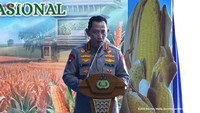 Kapolri Sebut 100 Ton Jagung Hasil Panen Raya Diekspor ke Malaysia
