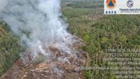 Tiga Daerah di Sumsel Terjadi Karhutla, Luas Terbakar 9,5 Hektare