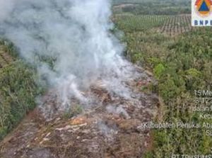 Tiga Daerah di Sumsel Terjadi Karhutla, Luas Terbakar 9,5 Hektare