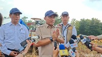 Dampingi Prabowo Panen Jagung di Tuban, Mensesneg: Pastikan Pangan Kuat