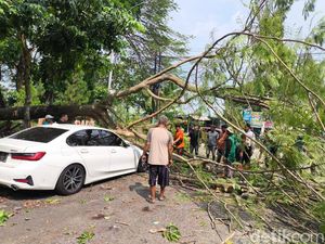 Mobil Putih di Caracas Kuningan Ringsek Tertimpa Pohon Tua