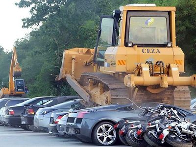 Nyesek! Momen Apes Ini Terabadikan Kamera, Kerugiannya Fantastis