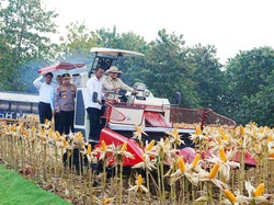 Prabowo Sebut Inovasi Briket Arang Jagung dari Polri Miracle