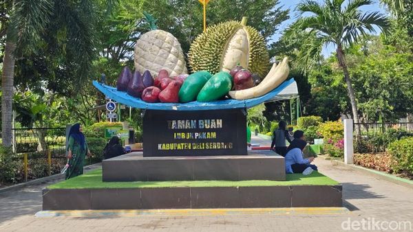 Modal Uang Parkir Bisa Bermain Sepuasnya di Taman Buah Deli Serdang