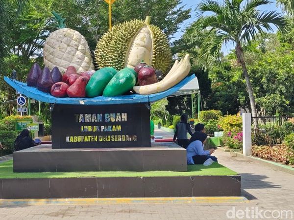 Modal Uang Parkir Bisa Bermain Sepuasnya di Taman Buah Deli Serdang