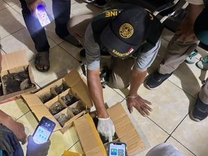 32 Anakan Burung Diselundupkan Lewat Gilimanuk, Disimpan di Bagasi Bus