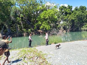 Bertaruh Nyawa Mandi di Muara, Pria Tewas Diterkam Buaya