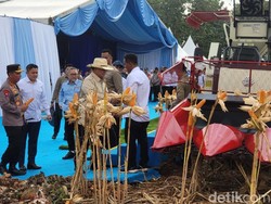 Kapolri Apresiasi Panen Raya Jagung di Tuban, Ada yang Diekspor