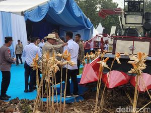 Petani Tuban Optimistis Swasembada Pangan Era Prabowo Tercapai