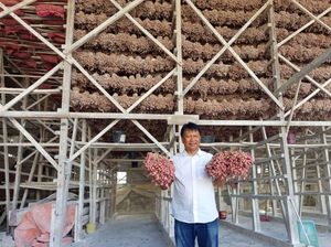 Dari Ladang ke Meja Makan, BI Kawal Harga Pangan dari Hulu ke Hilir