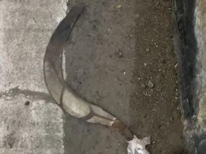 Petugas Tiket Parangtritis Dibacok Celurit Saat Piket Malam
