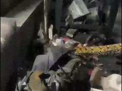 Damkar Parepare Evakuasi Ular Piton 7 Meter Sembunyi di Bengkel Motor