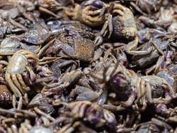 Cita Rasa Makhi Koi, Kepiting Fermentasi Ala Pontianak