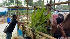 Lapak Penjual Hewan Kurban Mulai Bermunculan di Kota Surabaya