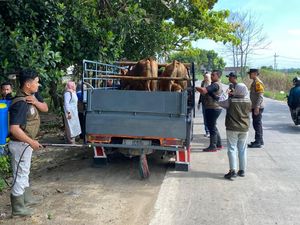 Jelang Idul Adha, Pengawasan Ternak di Perbatasan Lamongan Diperketat