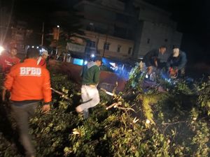 Pohon di OKU Tumbang Akibat Hujan dan Angin Kencang hingga Rusak 2 Rumah