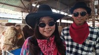 Viral Kandang Sapi Koboi di Cirebon, Pengunjung Serasa di Texas