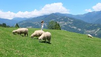 Taiwan Leisure Farm Fair 2026: Saatnya Liburan Seru ke Countryside Taiwan!