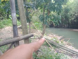 Kondisi Mayat Bayi Saat Ditemukan Mengapung di Sungai Klaten