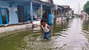 Banjir Rob Merendam Kawasan Pesisir SIdoarjo