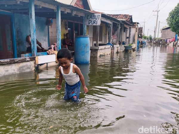 Banjir Rob Merendam Kawasan Pesisir SIdoarjo