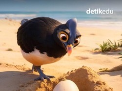 Video Cara Burung Ini Menetaskan Telurnya Bakal Bikin Kaget!