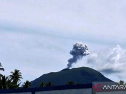 Gunung Ibu di Malut Erupsi Pagi Ini, Tinggi Kolom Abu Capai 800 Meter