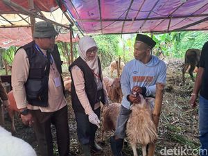 Pemkot Serang Cek Hewan Kurban di Lapak Penjual, Pastikan Sehat dan Layak