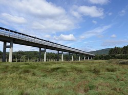 Jembatan Tumbang Nusa, Penggerak Ekonomi Kalimantan Tengah