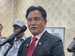 Soal Pembubaran Nobar Pesta Babi, Yusril: Kita Tidak Pernah Menjajah Papua