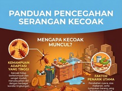 Kenapa Kecoak Tiba-tiba Muncul di Rumah? Ini Penyebab dan Cara Atasinya