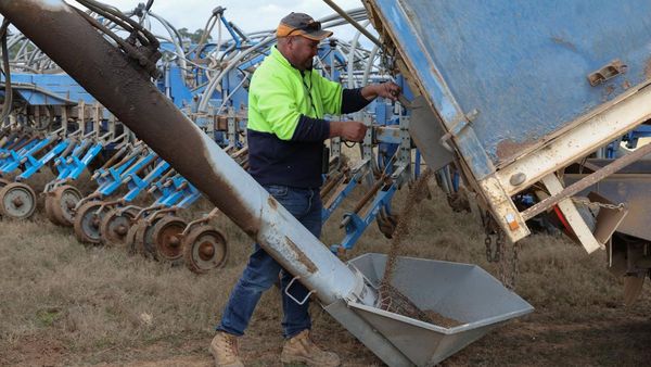 Petani Australia Kurangi Tanam Gandum Akibat Biaya Naik