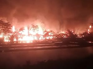 Peternakan di Bogor Terbakar Dini Hari, Ribuan Anak Ayam dan Belasan Domba Mati