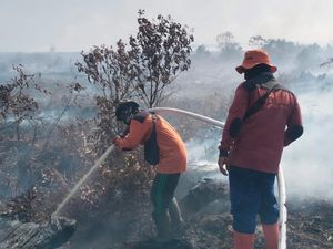 Antisipasi Karhutla, BPBD Riau Patroli Darat-Udara di Titik Rawan